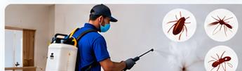 Spray Services